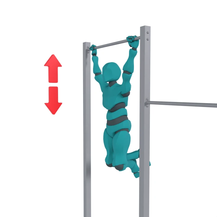 Широкий хват Подтягивания