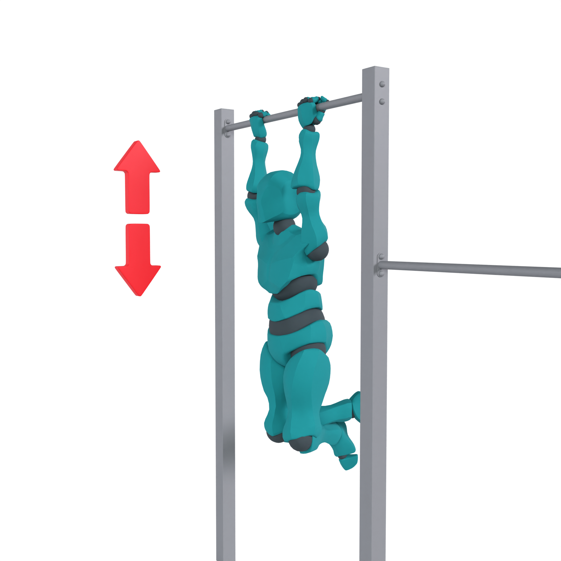 Обратный хват Подтягивания