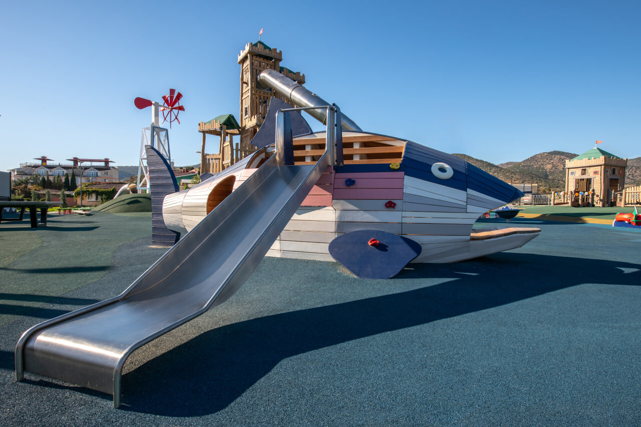 Photo 2025 08 11 14 20 15 (2)