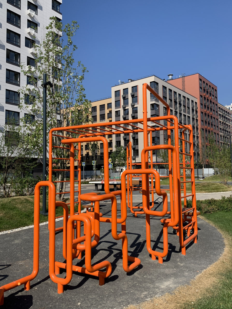 Photo 2025 08 12 15 37 57