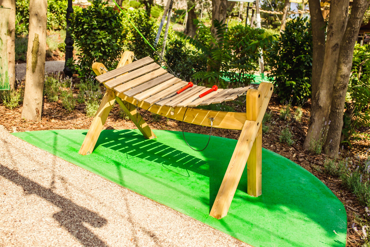 Photo 2025 08 12 13 38 07