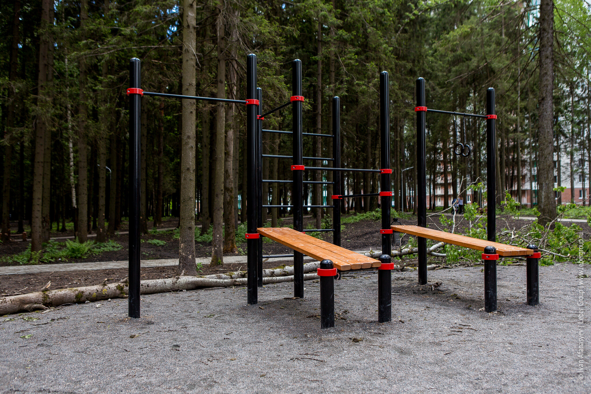 20170607 121219 02a8781