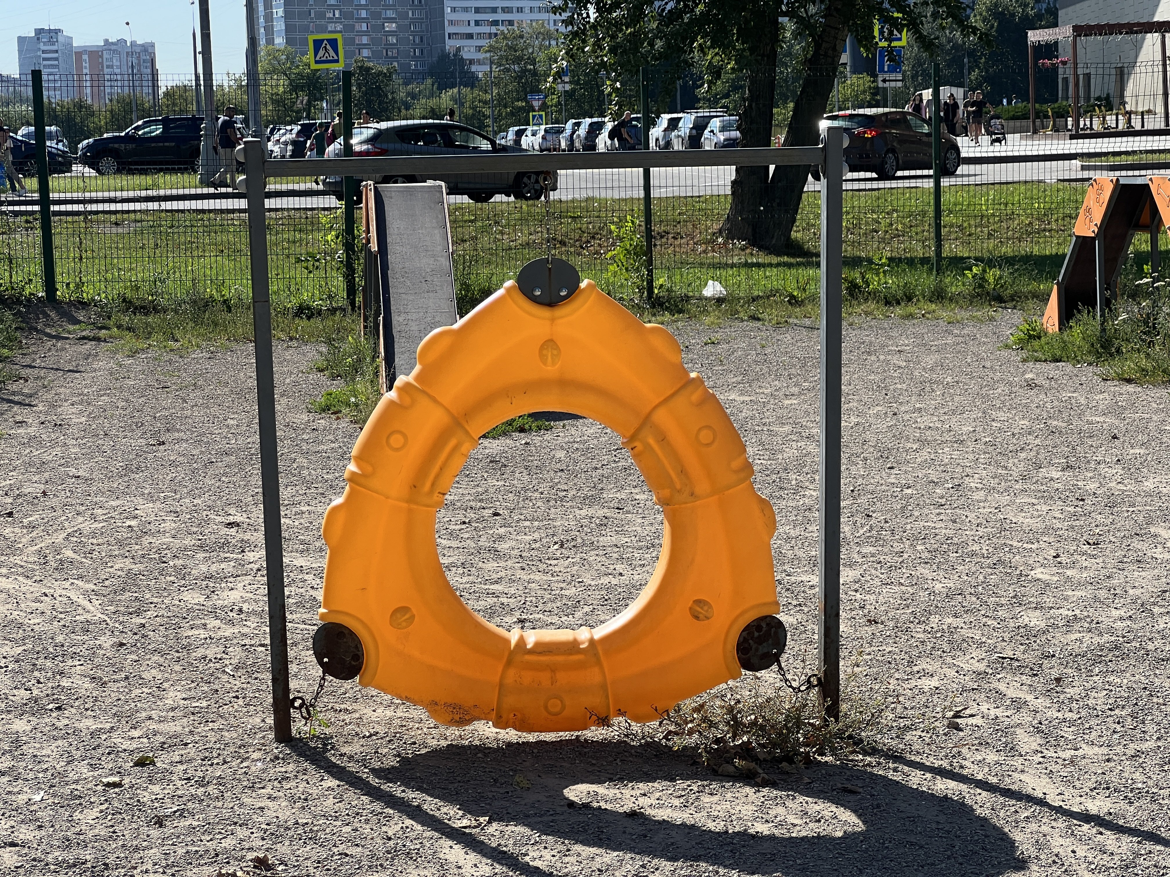 Img 3557