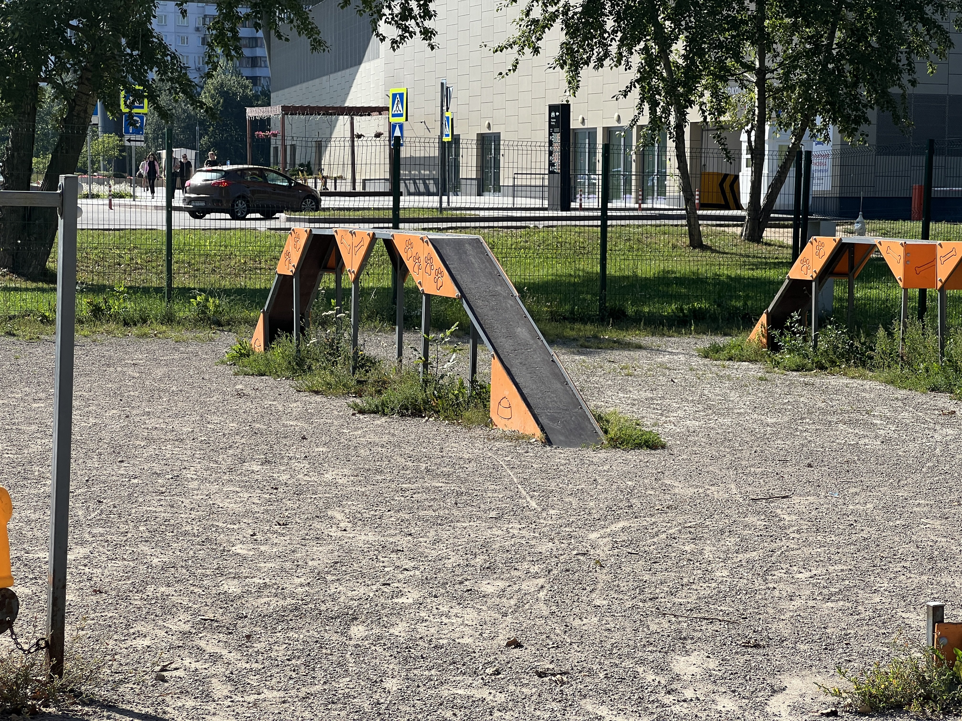 Img 3558