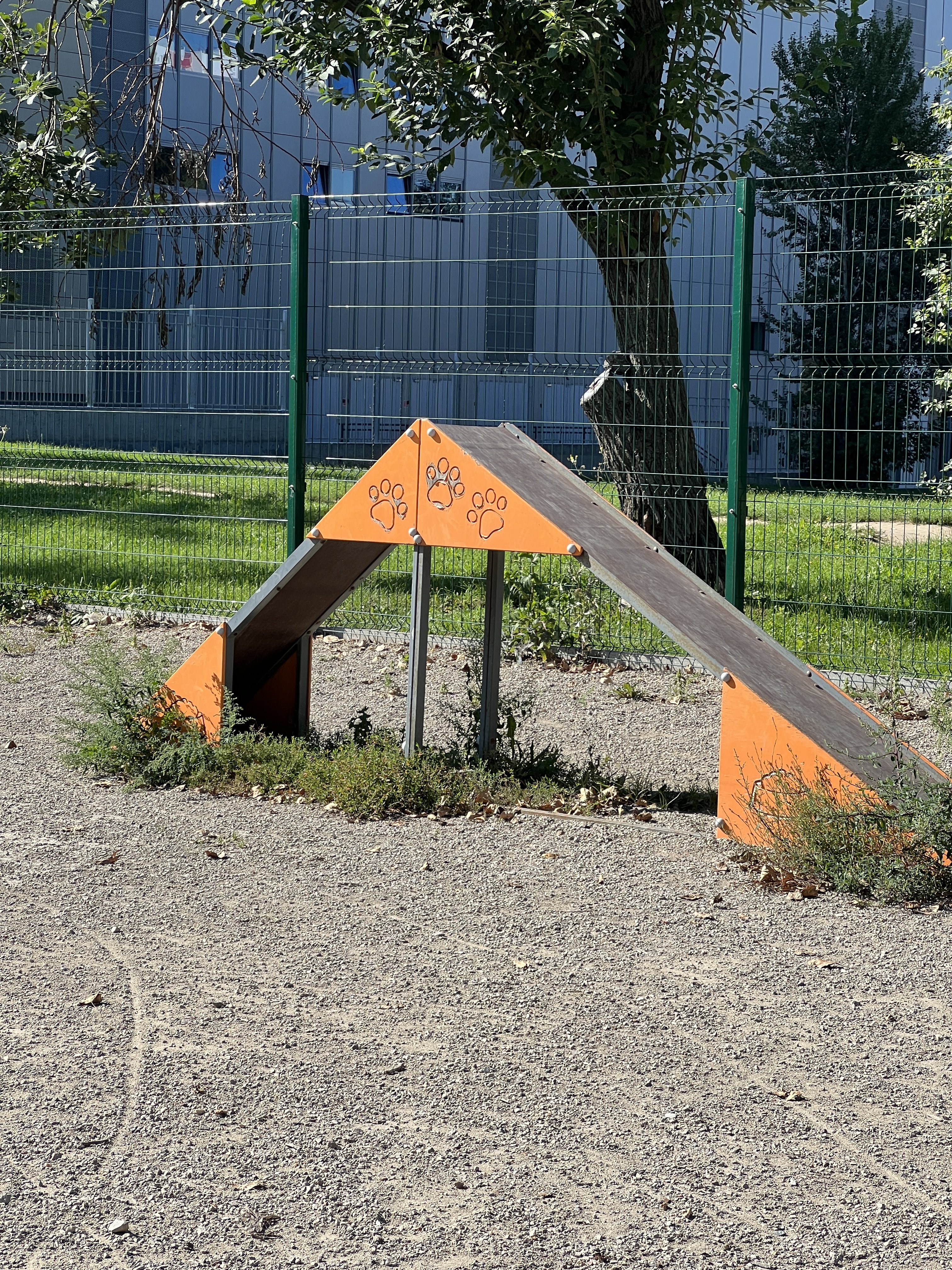 Img 3563