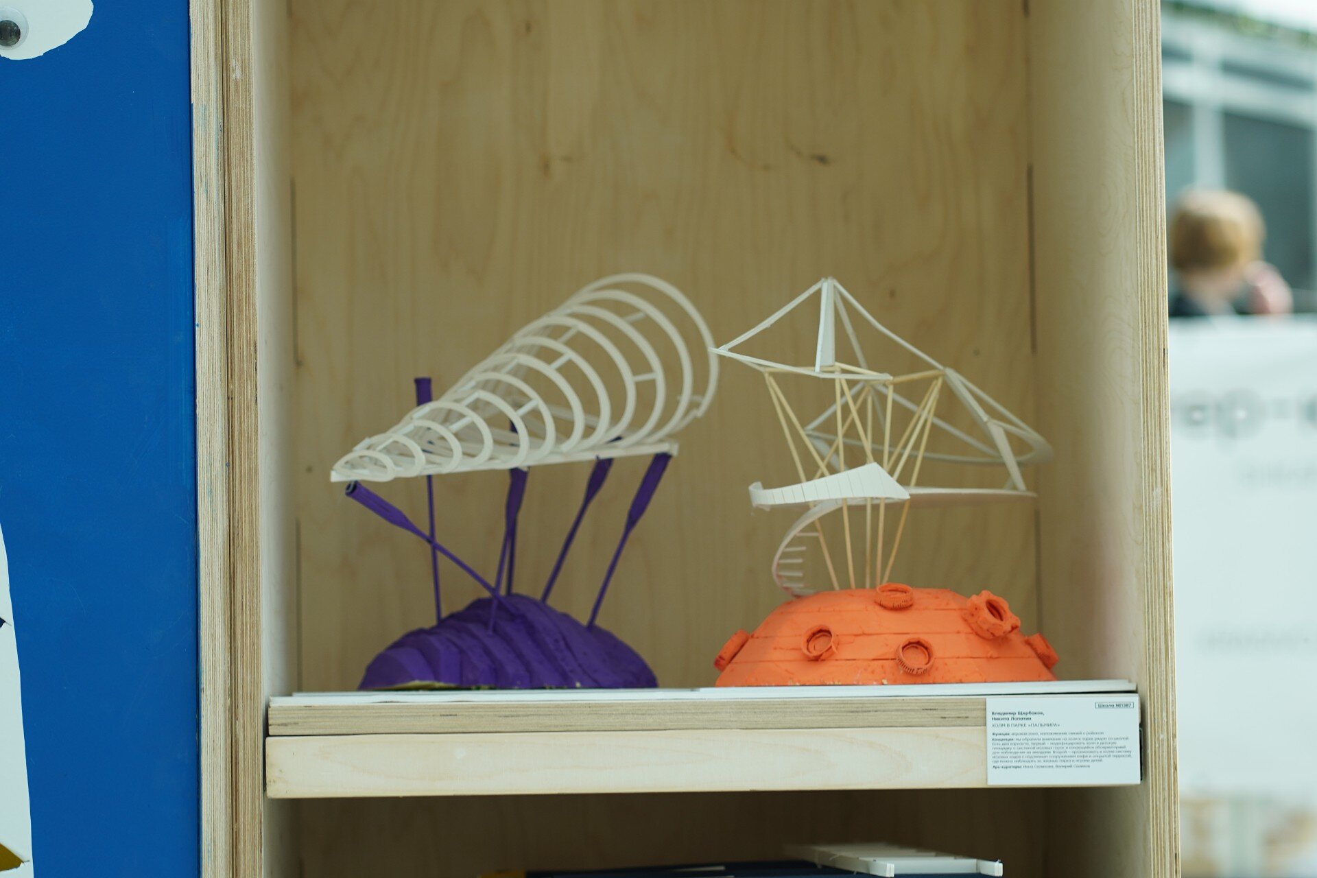 DSC06550.JPG compressed